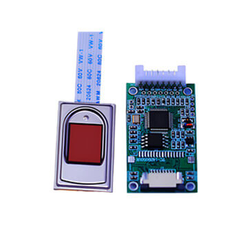 Capacitive fingerprint sensor