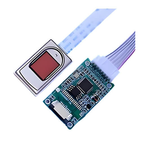 Capacitive fingerprint sensor