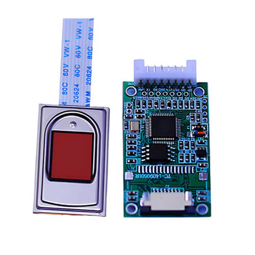 Capacitive fingerprint sensor