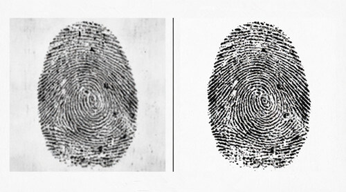 A Comparison of Standard Fingerprint Scanning and FBI-Certified Scanners