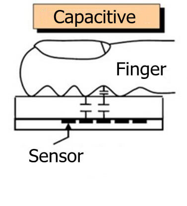 How a capacitive fingerprint scanner maps ridges and valleys using electrical current